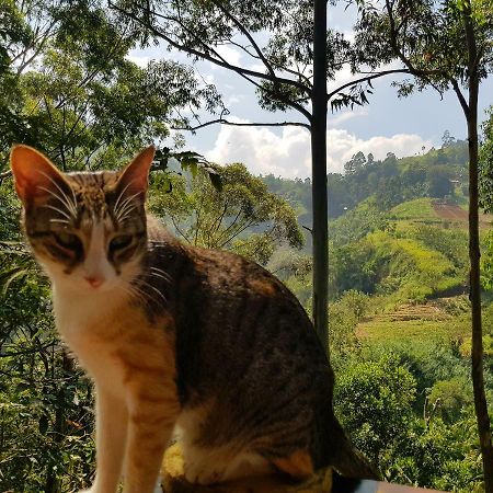 Waterfalls Homestay Ела Екстериор снимка