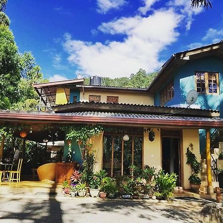 Waterfalls Homestay Ела Екстериор снимка