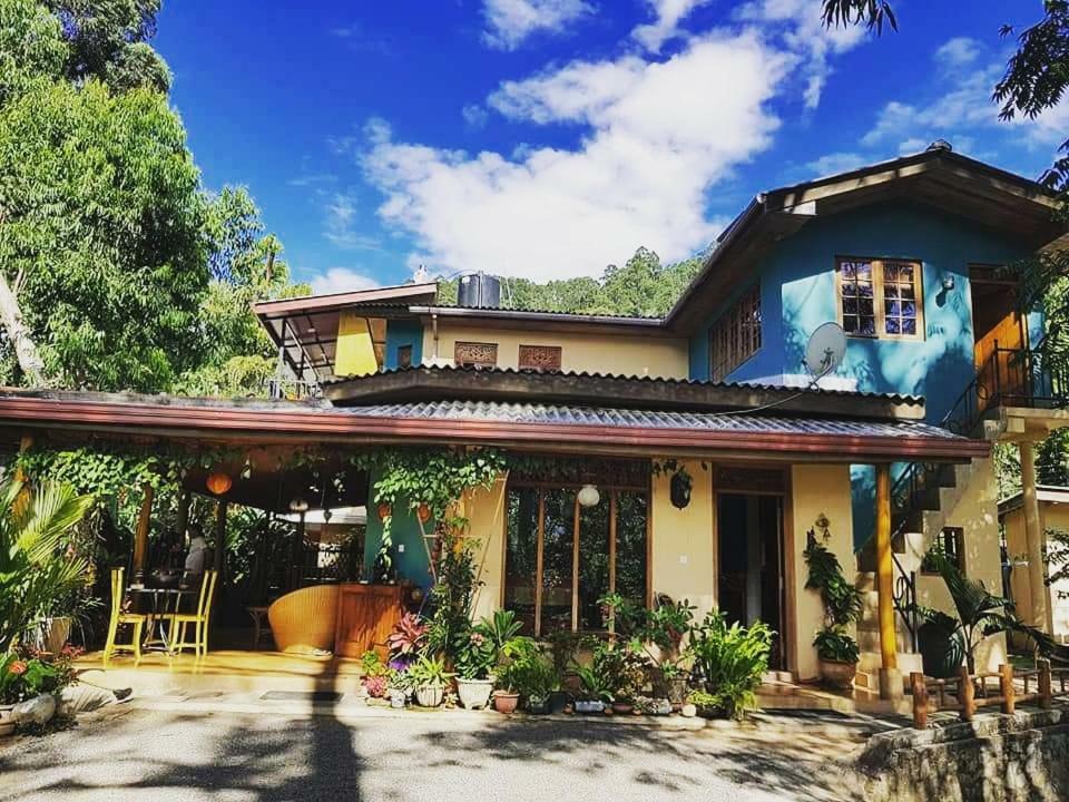 Waterfalls Homestay Ела Екстериор снимка