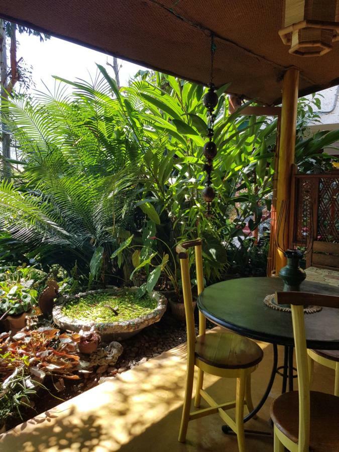 Waterfalls Homestay Ела Екстериор снимка